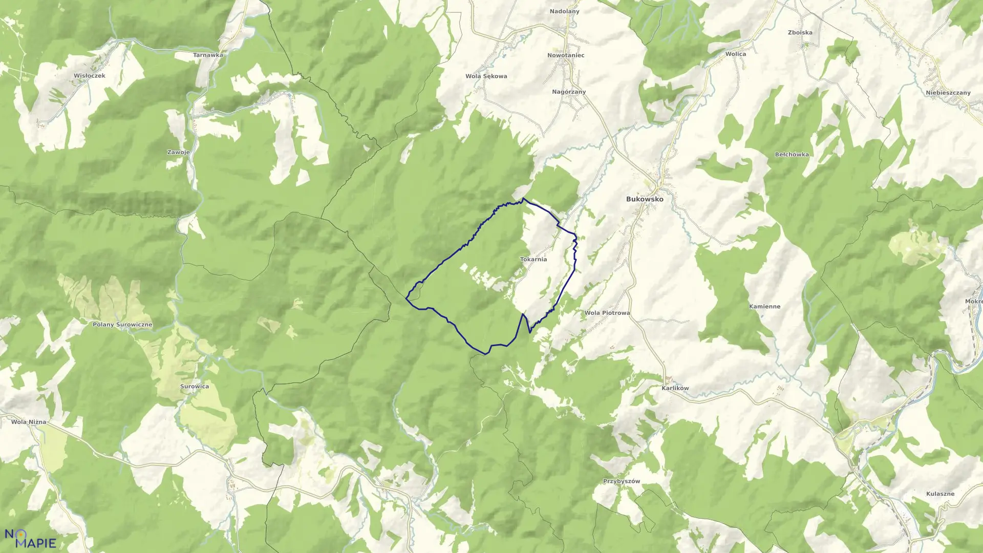 Mapa obrębu Tokarnia w gminie Bukowsko